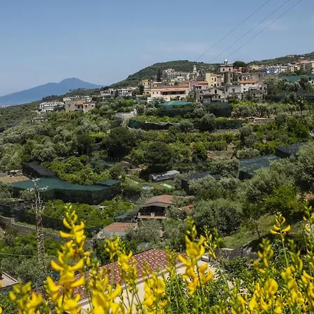 Neva Sorrento Coast * Massa Lubrense