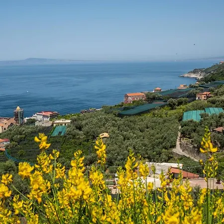 Neva Sorrento Coast