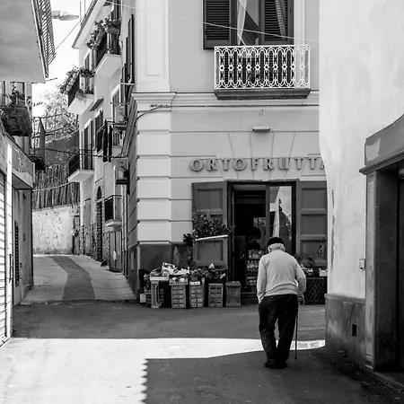 Apartment Neva Sorrento Coast *